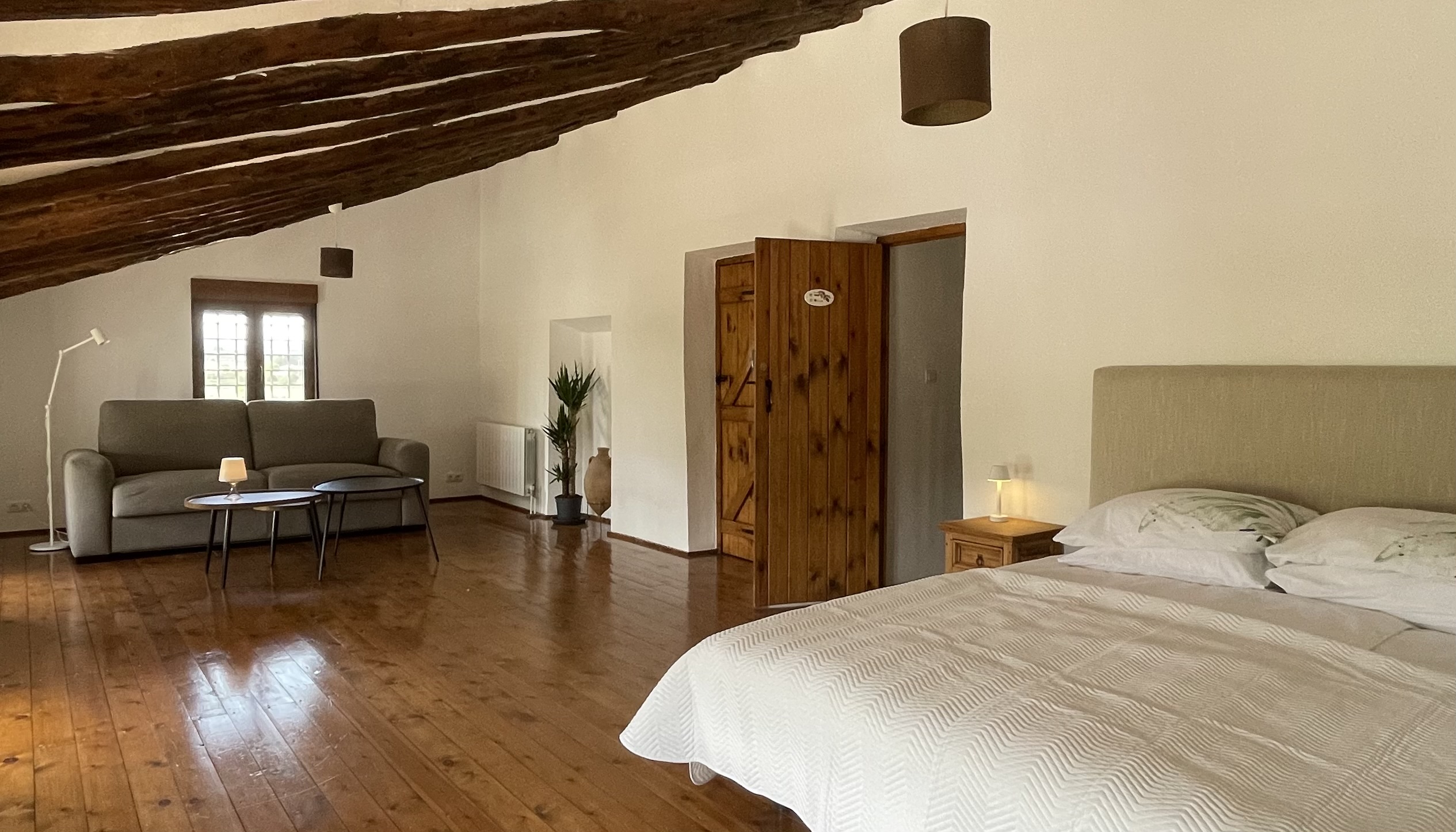 Olivo Casa Pedro Barrera Caravaca de la Cruz